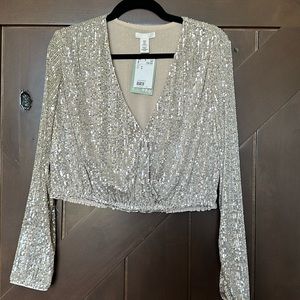 H&M Sequin Blouse